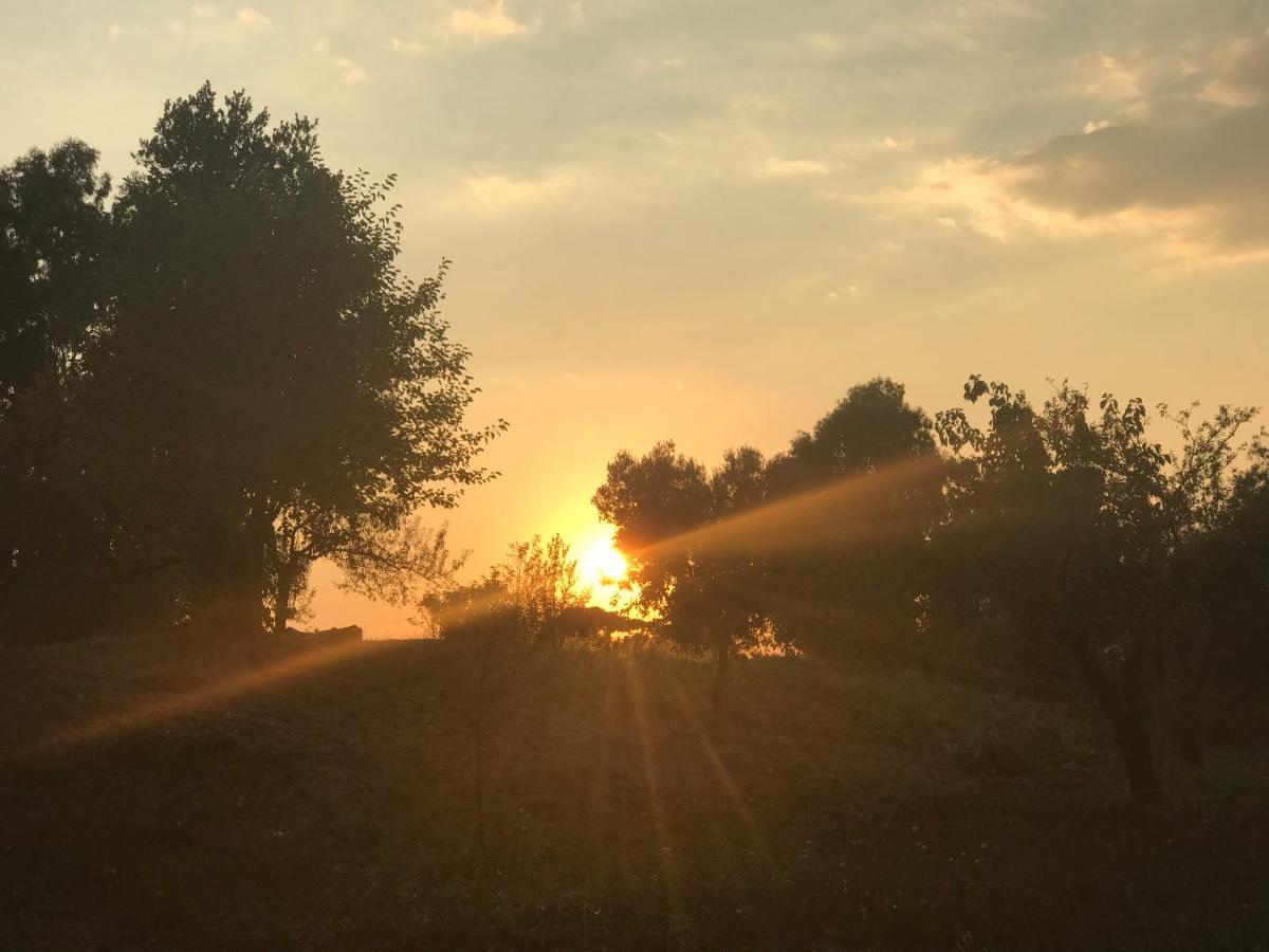 La Villetta Dei Sogni Nel Parco Roma Exterior foto